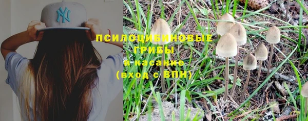 дживик Протвино