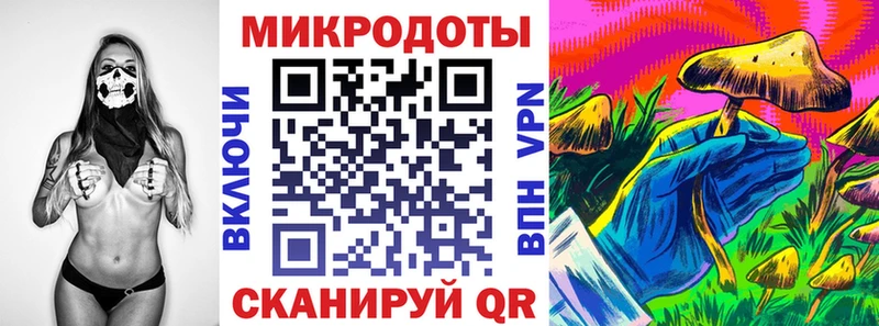 Псилоцибиновые грибы Psilocybine cubensis  Каргат 