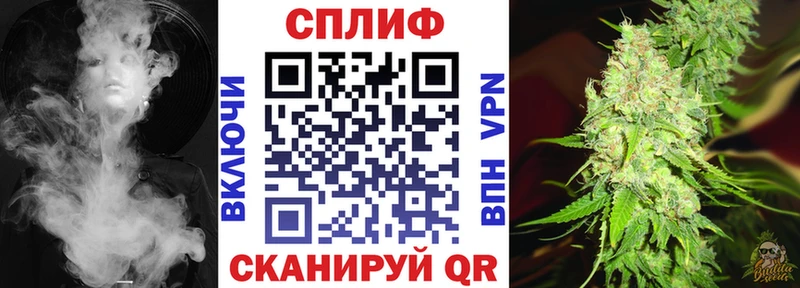 Бошки Шишки Amnesia  Каргат 